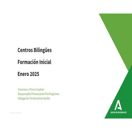 Presentación Formación inicial enero 2025.pdf