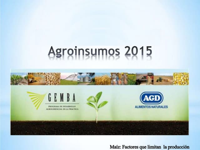 Presentación Factores claves en la ...