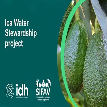 SIFAV_Mid-term-Report_Ica_2024_FINAL_web (1).pdf