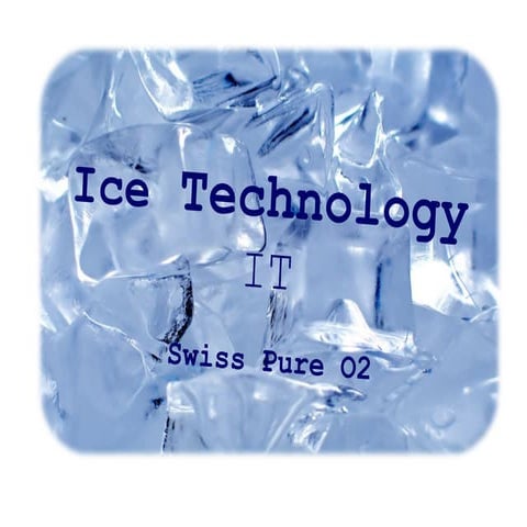 ice plant factory report | DOCX