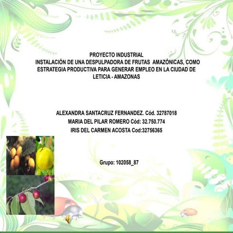 Instalación de un despulpadora de frutas amazónicas 