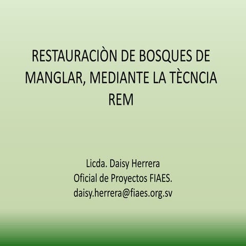 Presentaciòn intercambio rem