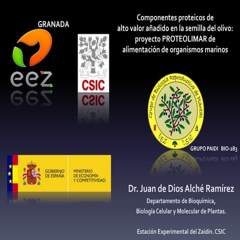 Componentes proteicos de alto valor añadido en la semilla del olivo: proyecto...