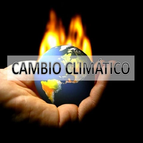 Presentación lengua