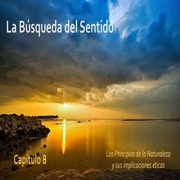 La búsqueda del sentido libro 1 cap 8