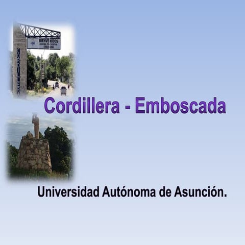 Presentación liliana ferreira