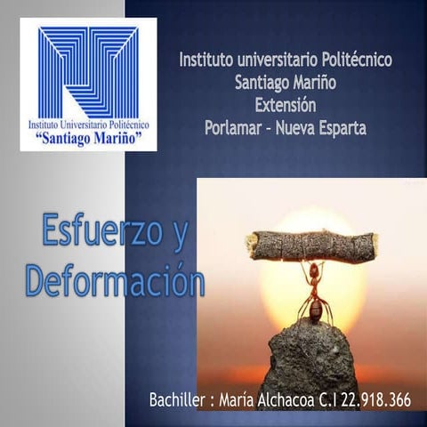 Presentación maria element