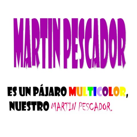  Martin Pescador
