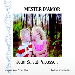 Presentación mester d'amor