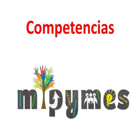 Presentación mipymes
