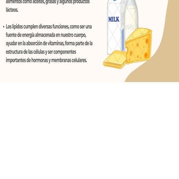 Estudio y interpretación del perfil lipídico