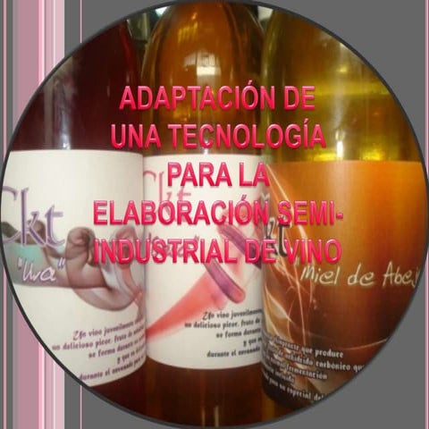 Presentacion de la monografia previo a la obtencion del titulo de bachilleres