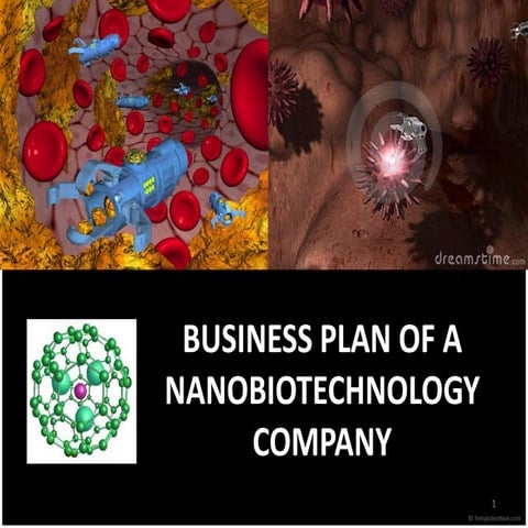 Presentation about Nanotechnology and Business Plan