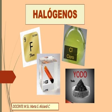 PRESENTACIÓN Nº5 HALOGENOS GRUPO VII A.pptx