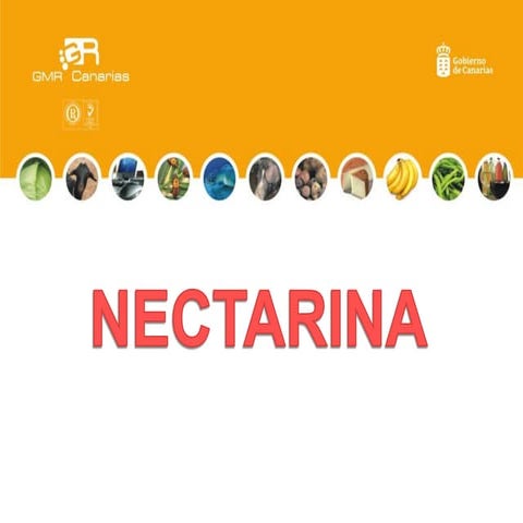 Plan de Frutas - La Nectarina