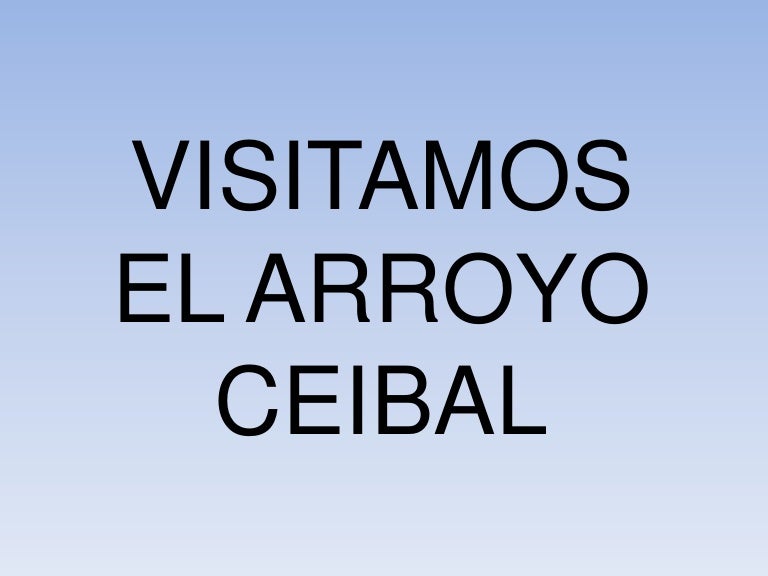 Fotos del arroyo Ceibal