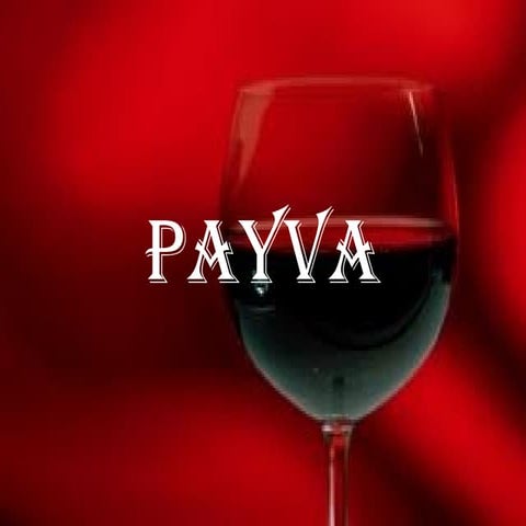 Presentación payva