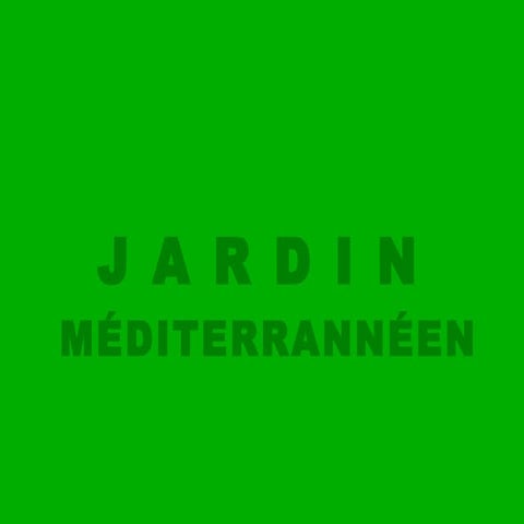 PresentacióN Plantas M