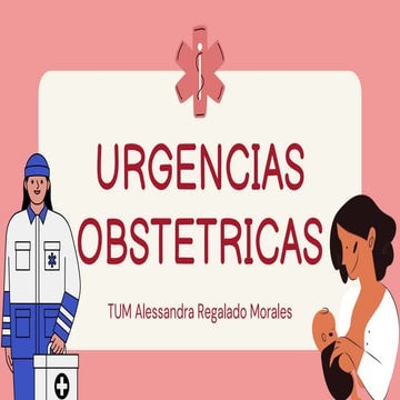 SECCOR CONSEJO NACIONAL DE SALUD MINSA PERU.pptx