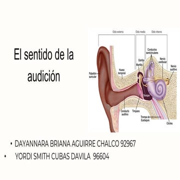 Presentación Propuesta de proyecto conferencia de empresa marketing ventas gr...