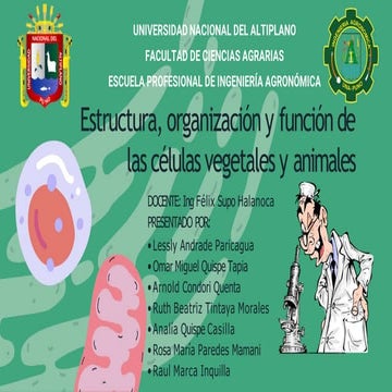 Presentación Propuesta Proyecto Brief Cliente Moderno Profesional Negro y Bla...