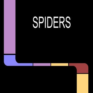 Presentación Proyecto Araña