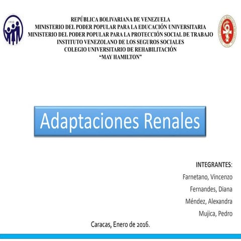 Adaptaciones Renales, ante el Ejercicio 