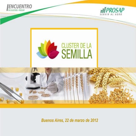 Cluster de la Semilla