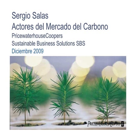 Foro Ecobanca: Presentación Sergio Salas - Gerente de Consultoría de PriceWater House Cooperz