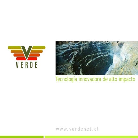 Presentación Servicios Holding segmentado.pdf