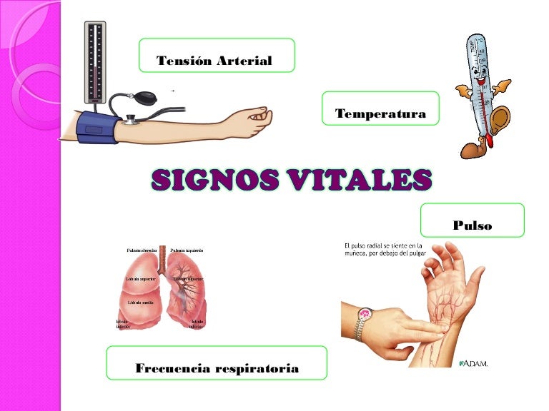 Signos vitales