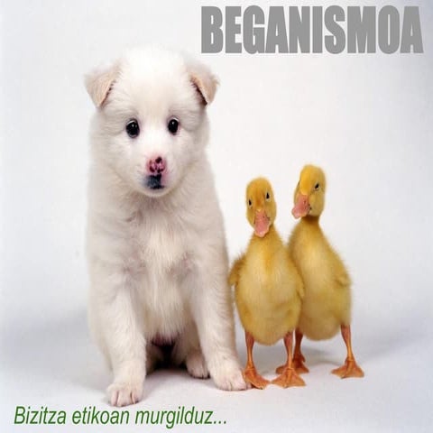 Beganismoa | PDF