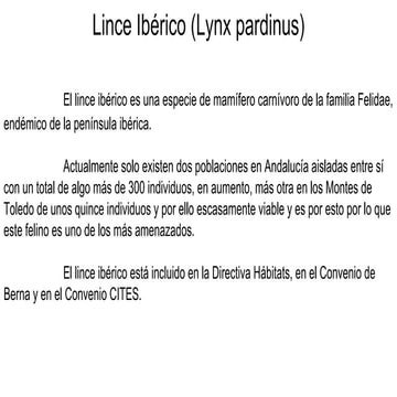 El lince ibérico