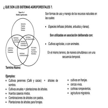 Presentación sistemas agroforestales