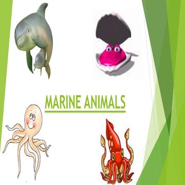 MARINE ANIMALS NNTT