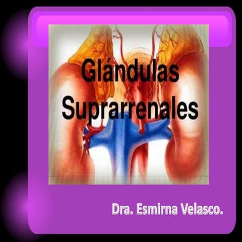 Presentación sSuprarrenal