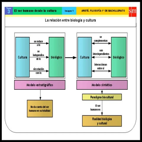 Presentación tema 3   copia