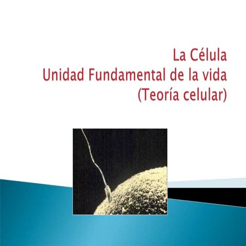 PresentacióN Teoria Celular