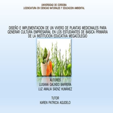 Presentación tesis amalia y lisana