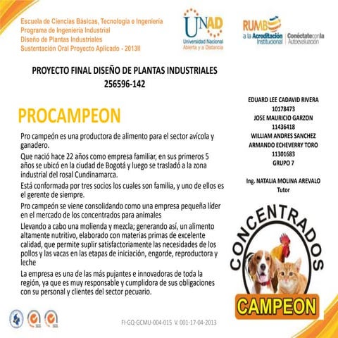 Presentación trabajos colaborativos dpi