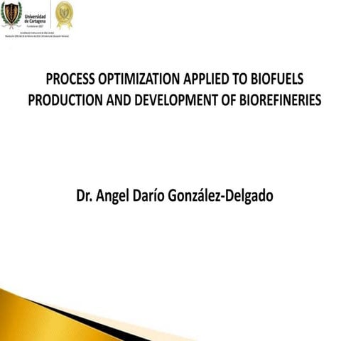 Process Optimization Applied to Biofuels production and Development of Bioref...