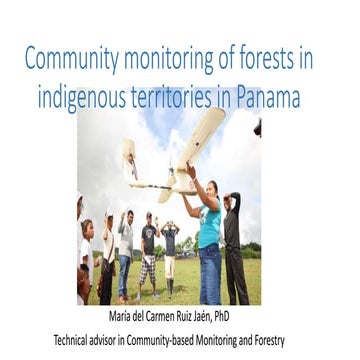 Presentación webinar 2017 Panamá