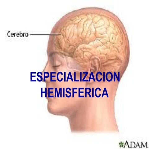 Psicofisiologia