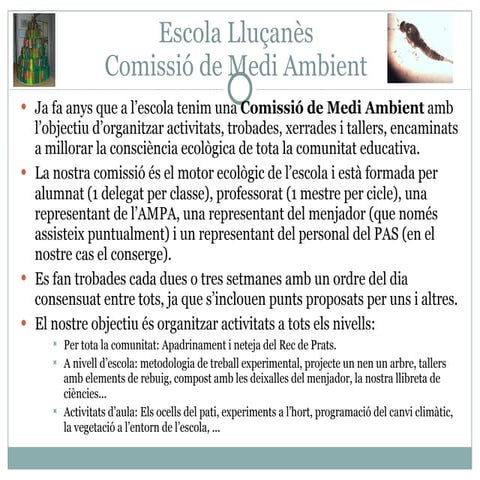 Projectes de Medi Ambient