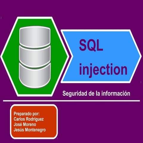Seguridad Base de Datos sql injection v1.0