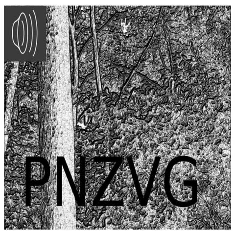 Presentacio complerta de pnzvg amb gravacions
