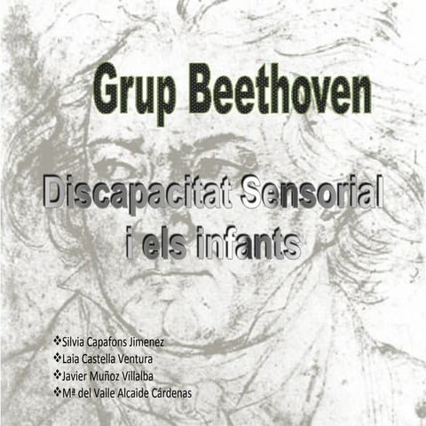 TIC - Presentacion Grup Beethoven