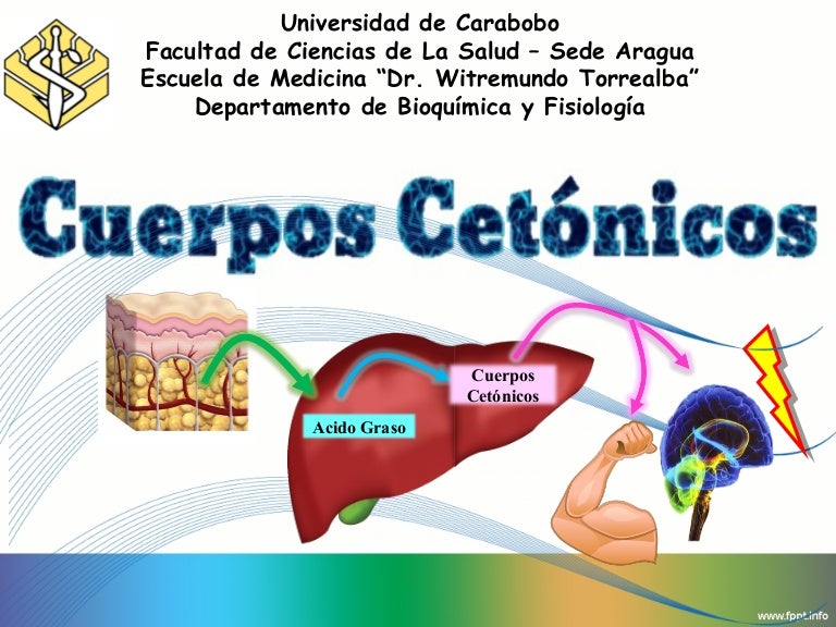 cuerpos cetonicos
