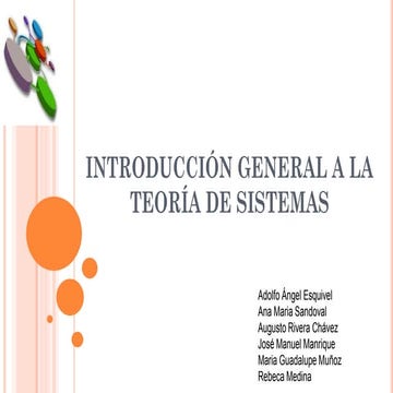 TEORÍA DEL SISTEMA