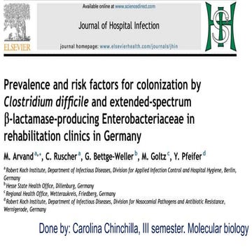 Presentacion seminario